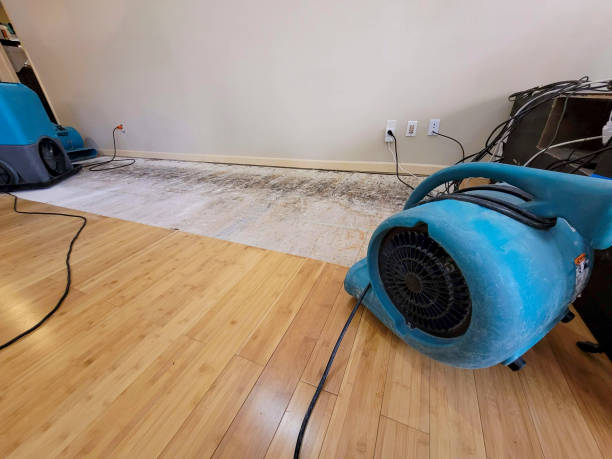 Reliable Basement Flood Cleanup contractor in Milford, UT by Hirex Water Damage
