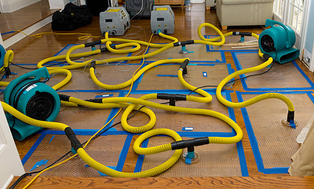 Professional Basement Flood Cleanup technician working in Milford, UT